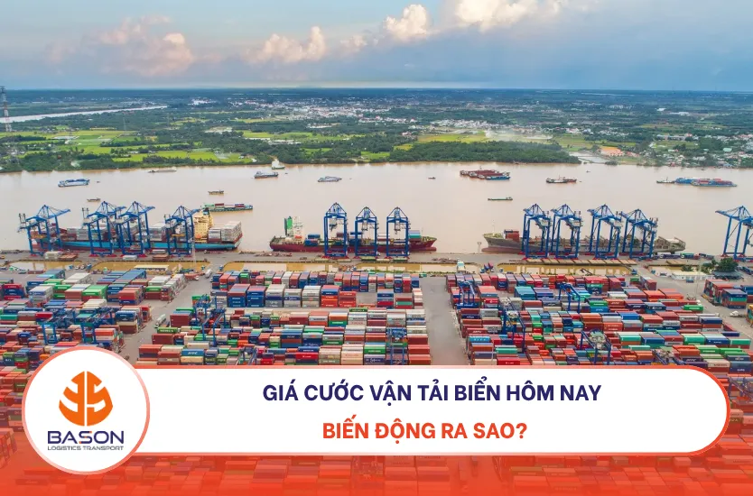 gia-cuoc-van-tai-bien-hom-nay thumb