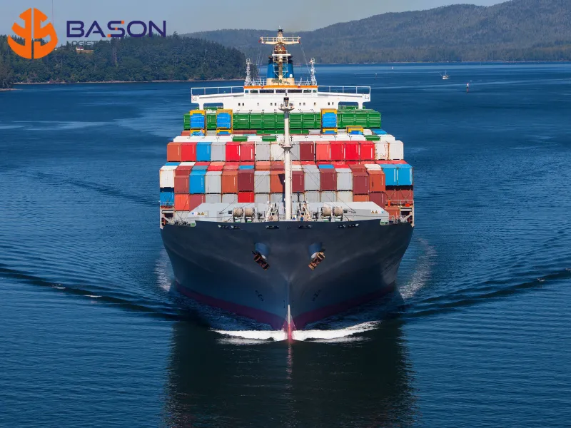 tam-nhap-tai-xuat-loai-hinh-gi